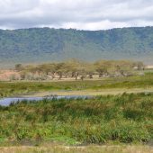  Ngorongoro Crater, TZ